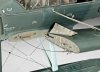 Revell Model plastikowy Samolot ARADO AR 196A-3 Seaplane 1/32